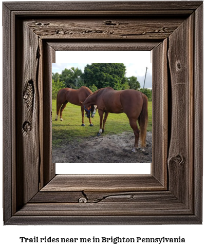 trail rides near me in Brighton, Pennsylvania